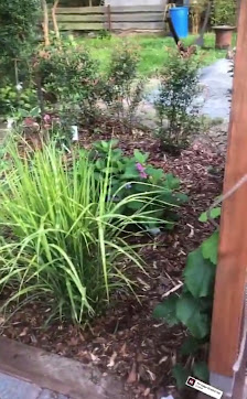 PaMo Haus- und Gartenservice Paul Noack