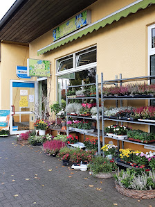 B+B Floristik, Inh. Bianka Fritz