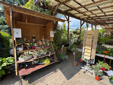 Gärtnerei Ricky's Plant & Wood Art