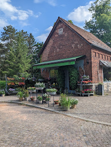 Haase Bernhard Friedhofsgärtnerei