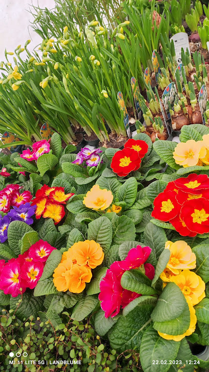 Baumschule, Pflanzenhof Heidenreich und Mareike's Landblume