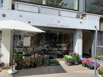 LEVIN GREEN Blumen und Pflanzen