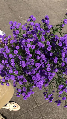 LEVIN GREEN Blumen und Pflanzen