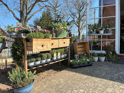 Blumen- und Hofladen Lavendelblüte