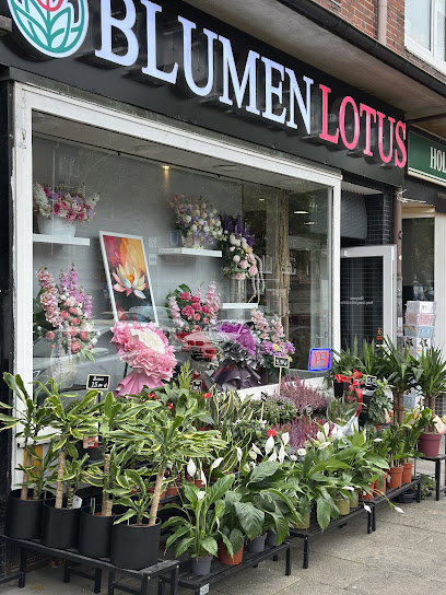 Blumen Lotus