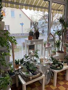 Blumen Hoffmann