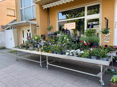 Blumen Hoffmann