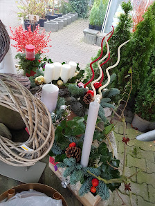 Blumen Schmidt
