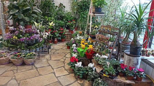 Blumenladen Letschin