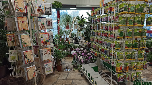 Blumenladen Letschin