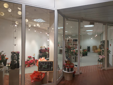 Blumen am Berliner Platz