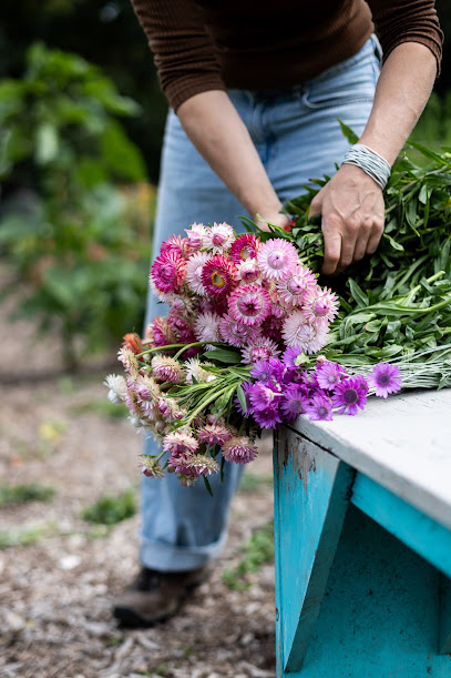 Kraut und Blüte - Blumen