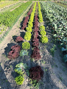 Rusch Gartenbau