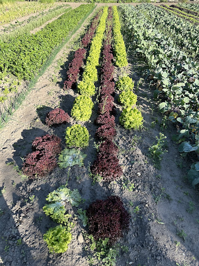 Rusch Gartenbau