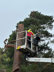 Baumfällung und Gartenservice