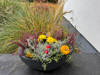 Franzis Blumenwelt