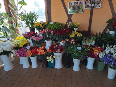 Blumen Funke