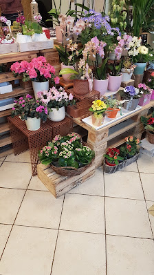 Blumenfachgeschäft Kätzmer