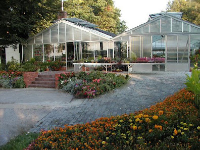 Gärtnerei am Schäferberg Beet & Balkonpflanzen Trauerbinderei/Schnittblumen