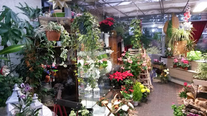 Blumen Dembny