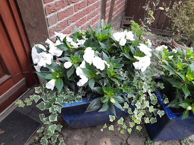 Diekert - Gartenbau
