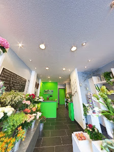 Blume & Leben