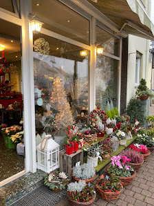 Goethe Blumen