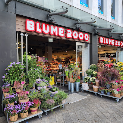 BLUME2000 Bad Homburg