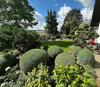 Express Gartenpflege