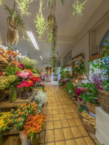 Julias-Blumenwelt - Offenbach
