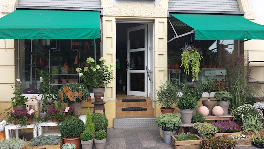 Julias-Blumenwelt - Offenbach