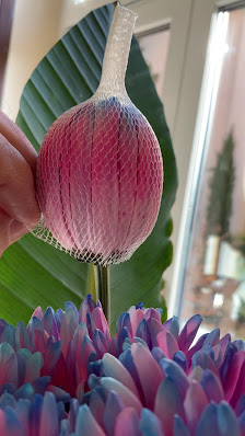 Blume und Stil