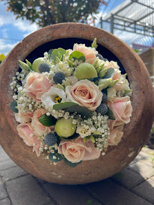 Kitzinger Blumen und Pflanzen