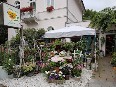 Blumen Fischer