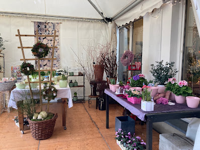 Veilchen Floristik Atelier Blumen