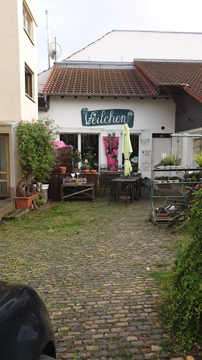 Veilchen Floristik Atelier Blumen