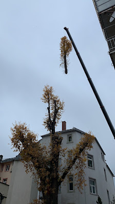 Braun Garten- und Landschaftsbau GmbH