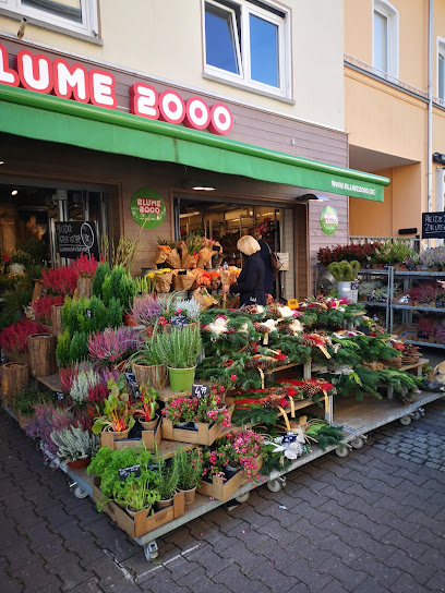 BLUME2000 Oberursel
