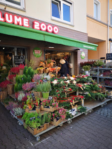 BLUME2000 Oberursel