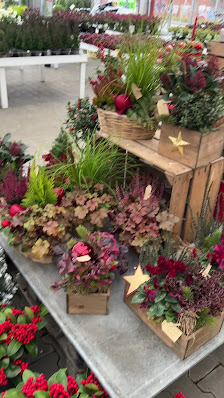 Blumen Risse Blumenmarkt Hanau