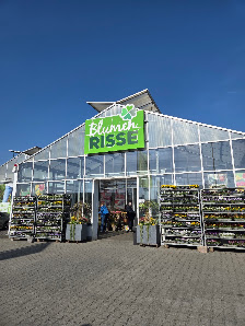 Blumen Risse Blumenmarkt Hanau