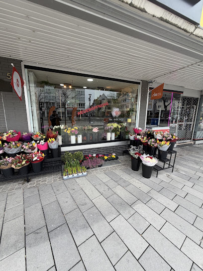 Flora Blumen Rüsselsheim
