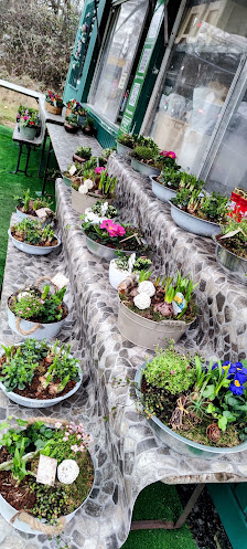 Blumen Özdemir