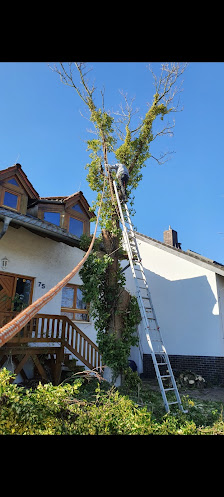 Reifgartenbau