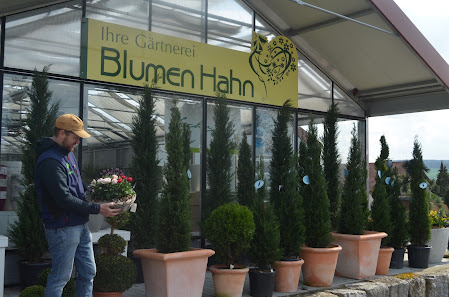 Blumen Hahn