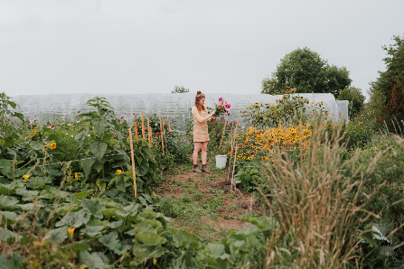 Alles voller Blumen