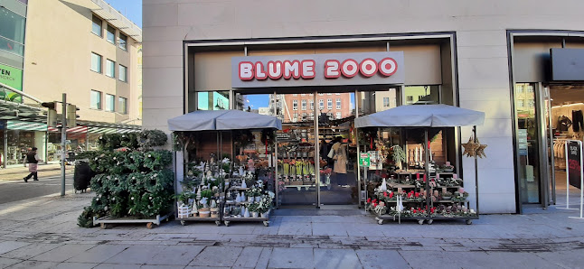 BLUME2000 Fulda