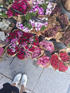 BLUME2000 Fulda