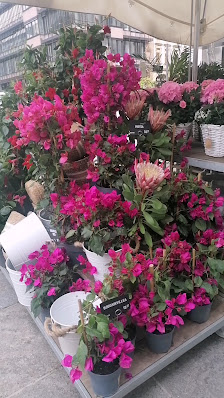 BLUME2000 Fulda