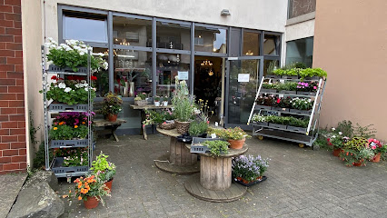 Anna Hartung (Blumen-Hartung)